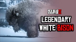 Red Dead Redemption 2 Legendary White Bison Location  First Clue [upl. by Aroon]