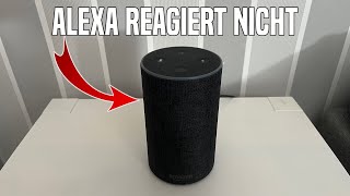 Alexa REAGIERT NICHT  Ursachen und Lösung Deutsch  Amazon Echo Tutorial [upl. by Shorter]