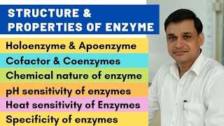 Structure and properties of enzymes  Cofactors and coenzymes [upl. by Batty874]