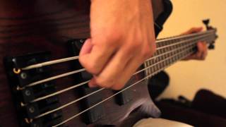 Littleroot Town Bass Cover [upl. by Ravid]