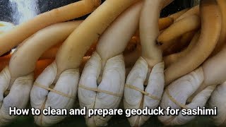 How to clean and prepare geoduck for sashimi [upl. by Tammany]