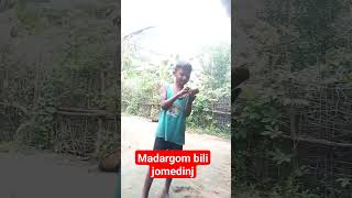 Madargom bili jom edinjshortsyoutubeshorts shortvideoviral Castard apple [upl. by Potts924]