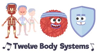 Twelve Body Systems Song [upl. by Eichman]