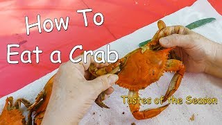 How to Eat a Whole Crab Using a Maryland Blue Crab Tastes of the Season 2023 [upl. by Nady]