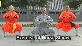 Shaolin Kung Fu basic moves [upl. by Jemie]