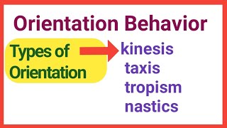 orientation behaviortaxiskinesistropismnasticstype of innate behaviororientation [upl. by Tadashi371]