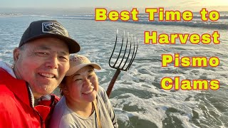 When is the Best Time to Dig for Pismo Clams [upl. by Ydnab]