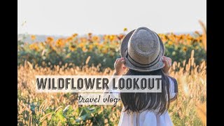 WILDFLOWER LOOKOUT  SUNFLOWER FIELD  DISCOVER LANCASTER PA  AMISH COUNTRY RONKS PA TRAVEL VLOG [upl. by Ellenor]