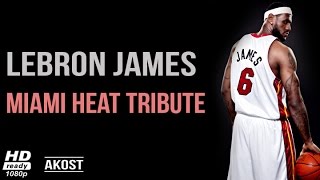 Lebron James 2010  2014  Miami Heat Tribute ᴴᴰ [upl. by Krystyna963]