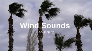 Wind sounds  Wind sound for sleeping insomnia relaxing study [upl. by Nyrad63]