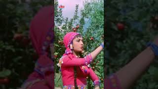 यह पर्दा हटा दो  Mohammed Rafi amp Asha Bhosle  Ek Phool Do Mali oldhindisong mohammedrafisongs [upl. by Gilud]