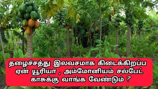 தழைச்சத்து இலவசமாக கிடைக்கிறப்ப ஏன் யூரியா  அம்மோனியம் சல்பேட் காசுக்கு வாங்க வேண்டும் [upl. by Hsac907]