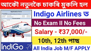 indigo Airlines New Recruitment 2024Indigo Airlines Job Online ApplyHow To Apply Indigo Airlines [upl. by Sillert]