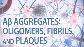 Aβ aggregates oligomers fibrils amp plaques  Alzheimer’s disease  medical animation [upl. by Adna]