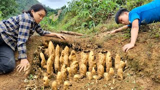 A Lucky Day for the Mute Boy and Girl  Harvesting Strange Potatoes to Sell at the Market l Cooking [upl. by Rettke]