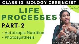 Life Processes Class 10 Biology  Autotropic Nutrition  Part2 [upl. by Sinai]