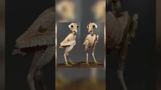 Strange facts about owls [upl. by Engle331]