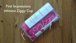 Intimina Ziggy Cup  First Impressions and Comparison to SoftCup [upl. by Inavihs]