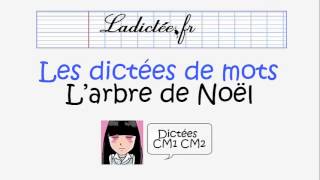 Larbre de Noël  Dictée de mots préparatoire pour la dictée CM1CM2 voir sur ladicteefr [upl. by Ayrb]