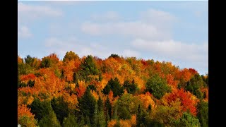 Brousseau Mountain in fall Vermont [upl. by Pansie]