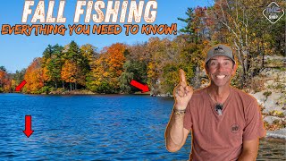 Mastering Fall Bass Fishing Unlocking the Secrets of the 3 Stages [upl. by Okeim]