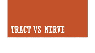 Tract vs Nerve [upl. by Ahsya103]