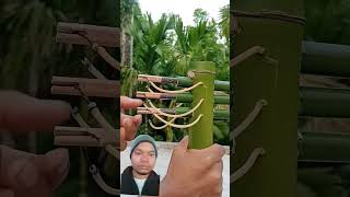 Bamboo Colour Three Kaman Suting CocaCola Bottle [upl. by Narok]