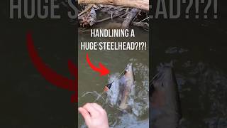 I had to HANDLINE a HUGE Steelhead Trout fishing steelhead troutfishing [upl. by Oesile540]