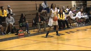 Eisenhower Eagles vs Nimitz Cougars  201314 Girls Basketball  020414 [upl. by Alue]