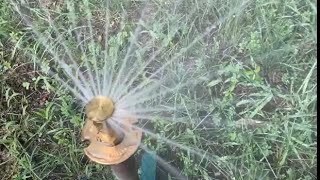 Weathermatic Brass Hi Pop Spray Head Sprinkler with a Brass 18NJH Nozzle [upl. by Attenra124]