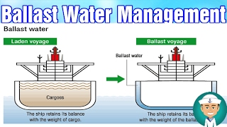 Ballast Water Management Methods [upl. by Ainitsirhc288]