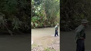 River crossing shortvideo [upl. by Ayerdna]