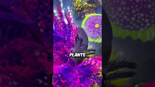 How To Set Up Plants For Your Axolotl lotlsoflove shorts axolotl pets cute animals [upl. by Erda935]