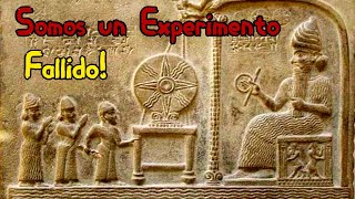 Top 7 Teorías sobre el origen de la Humanidad [upl. by Quick]