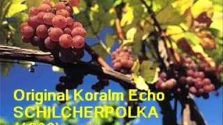 Original Koralm Echo  Schilcherpolkawmv [upl. by Zuliram]