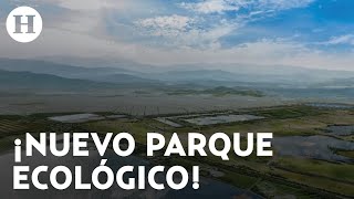 Parque Ecológico Lago de Texcoco ¿cuándo abre y qué actividades tendrá [upl. by Amasa]