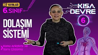 Dolaşım Sistemi Konu Anlatımı Soru Çözümü Animasyonlu 6 Sınıf Fen Konu Anlatımı 6 Ders [upl. by Bascomb441]