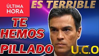 🔴DIRECTO URGENTE🔴Pedro Sánchez ELIMINA el Concurso de Méritos en la UCO Antidemocrático [upl. by Won]