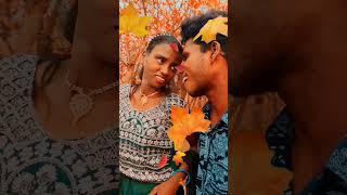 manimuddusravaniNee Navvula ntr garu song [upl. by Oiramed]