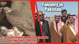 Falcon hunting in Pakistan 2010 Part1 falconry  Fahad bin Sultan hunting videos Houbara bustard [upl. by Earised]