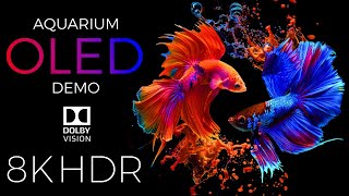 Aquarium OLED Demo HDR 8K Ultra HD Dolby Vision™ 60fps [upl. by Yearwood]