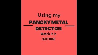 Pancky Metal Detector Put To The Test [upl. by Tatum]