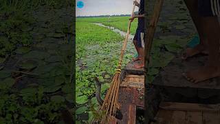 Boat Fishing Video 2024 part 132shortsshortvideo viral viralvideo fishing fishboatfishing [upl. by Atiram915]