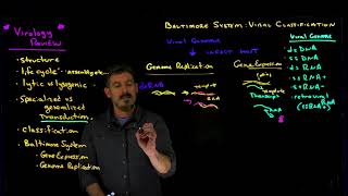 Viral Classification Overview [upl. by Cir]