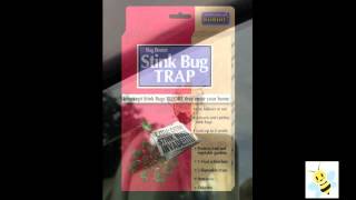 Stink Bugs  How to Control Them with Bonide Traps [upl. by Akema462]