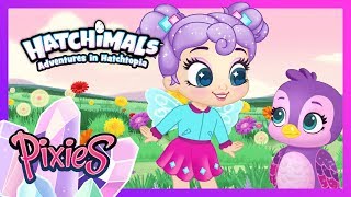 ALL THE EPISODES MEGA COMPILATION  Adventures in Hatchtopia PIXIES  Hatchimals [upl. by Breeze95]