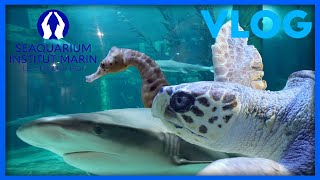 Vlog Seaquarium [upl. by Fontes167]