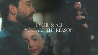 Ali amp Eylül  You Are The Reason  Kalp Atışı [upl. by Aeet]