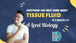 ALevel Biology  Everything You Must Know About Tissue Fluid in 3 minutes [upl. by Ahseat587]