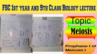 Topic Meiosis Prophase 1 of Meiosis 1 lecture delivered by Maam Samina Khuram 👍 [upl. by Joela]